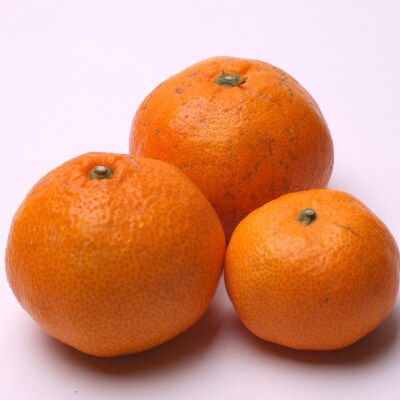 家庭用 熟成有田みかん1kg+250g(傷み補償分)【光センサー選果】【訳あり】