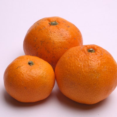 家庭用 有田みかん2.5kg+250g(傷み補償分)【光センサー選果】【訳あり】