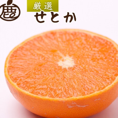 厳選 せとか1kg+250g(傷み補償分)【柑橘・春みかんの王様】【光センサー選果・食べ頃出荷】