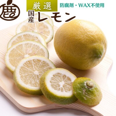 レモン2.5kg+250g(傷み補償分)【和歌山有田産】【防腐剤・WAX不使用、安心の国産レモン】