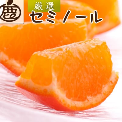 厳選 セミノールオレンジ10kg+250g(傷み補償分)【春みかん】【有田産】【光センサー選果】