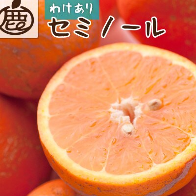 家庭用 セミノールオレンジ2.5kg+250g(傷み補償分)【春みかん】【訳あり】【光センサー選果】