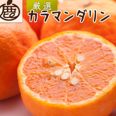 厳選 カラマンダリン1kg+250g(傷み補償分)【南津海・なつみ】【希少な春柑橘】