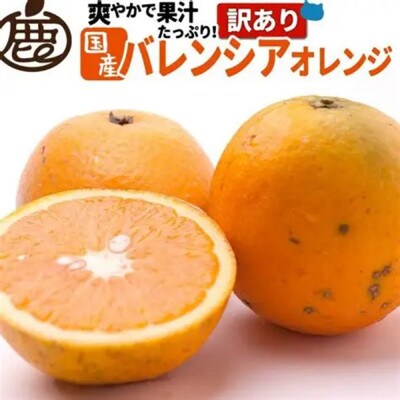 家庭用 バレンシアオレンジ2.5kg+250g(傷み補償分)【光センサー選果】【訳あり】