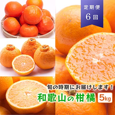 【発送月固定定期便】厳選【和歌山の季節の柑橘5kg】農家より奇数月隔月直送【頒布会】全6回