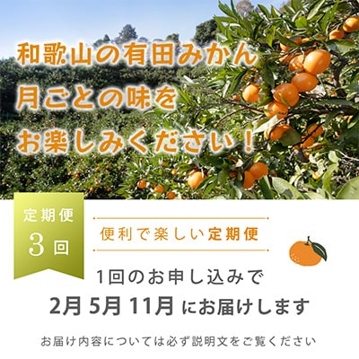 【発送月固定定期便】季節の柑橘定期便B【フルーツ定期便】【和歌山県有田】全3回