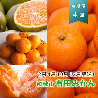 【発送月固定定期便】季節の柑橘定期便A【フルーツ定期便】【和歌山県有田】全4回