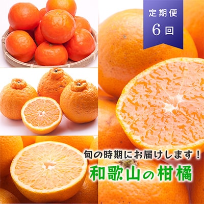 【発送月固定定期便】季節の柑橘定期便B【フルーツ定期便】【和歌山県有田】全6回