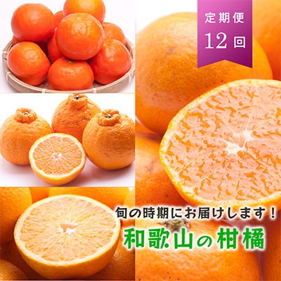 【発送月固定定期便】季節の柑橘定期便A【フルーツ定期便】【和歌山県有田】全12回