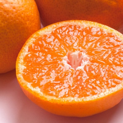 【発送月固定定期便】極プレミアム有田みかん定期便 2.5kg+250g(傷み補償分)全3回