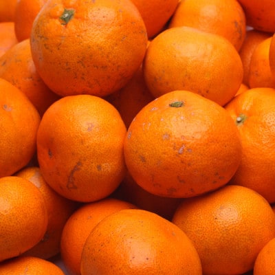 【発送月固定定期便】家庭用 有田みかん定期便 5kg+250g(傷み補償分)全3回