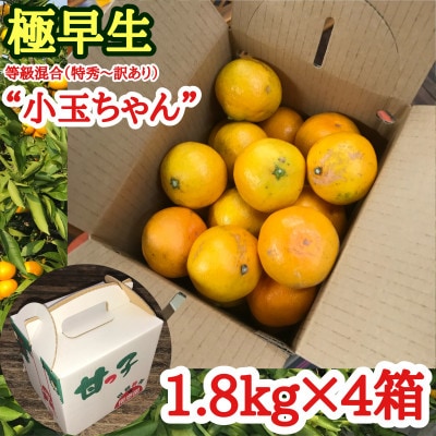 yɑELc݂zʂ/E1.8kg×4@a̎RLc쒬Y/׉