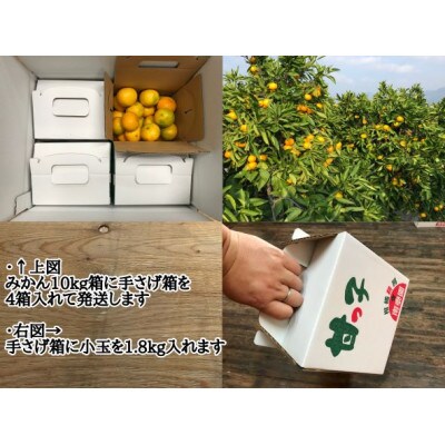 【極早生・有田みかん】小玉ちゃん/等級混合・1.8kg×4箱　和歌山県有田川町産/南泰園直送