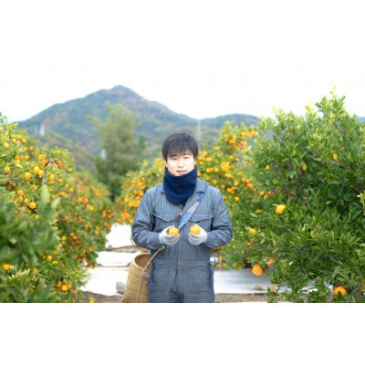 【極早生・有田みかん】小玉ちゃん/等級混合・1.8kg×4箱　和歌山県有田川町産/南泰園直送