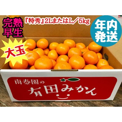 年内発送 完熟早生 有田みかん 特秀 2L または L 5kg 和歌山県 有田川町産
