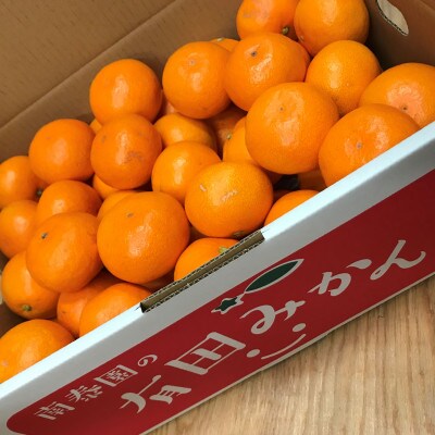 年内発送 完熟早生 有田みかん 特秀 S または SS 5kg 和歌山県 有田川町産