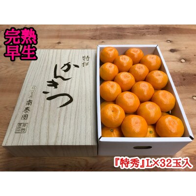 年内発送 完熟早生 有田みかん 化粧箱 特秀 L サイズ 32玉入 和歌山県 有田川町産