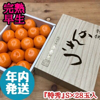 年内発送 完熟早生 有田みかん 化粧小箱 特秀 S サイズ 28玉入 和歌山県 有田川町産