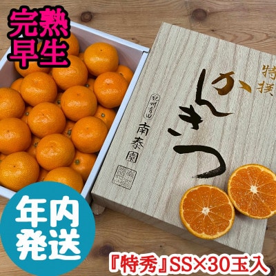 年内発送 完熟早生 有田みかん 化粧小箱 特秀 小玉 SS サイズ 30玉入 和歌山県 有田川町産