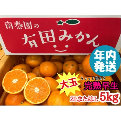 年内発送 ちょっと傷あり 完熟早生 有田みかん 大玉2LまたはL 5kg 和歌山県 有田川町産