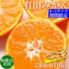 先行受付【ご家庭用】和歌山有田みかん約10kg(M、Lサイズ)【湯浅町】