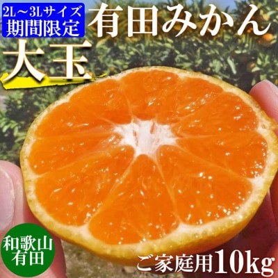 先行受付【ご家庭用】和歌山有田みかん10kg(2L、3Lサイズ)【湯浅町】