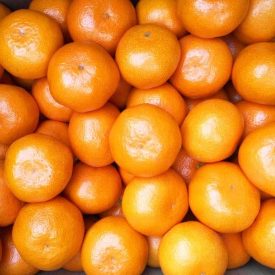 先行受付【ご家庭用】和歌山有田みかん10kg(2L、3Lサイズ)【湯浅町】