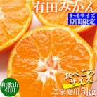 先行受付【ご家庭用】和歌山有田みかん約5kg(M、Lサイズいずれか)【湯浅町】