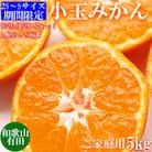 先行受付【ご家庭用】和歌山有田みかん5kg(SS、Sサイズ)【湯浅町】