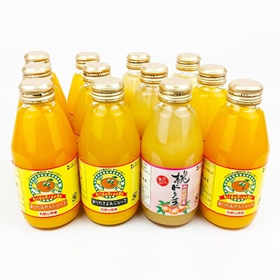 和歌山産・有田産みかん、きよみ、もものフルーツジュース200ml×12本セット