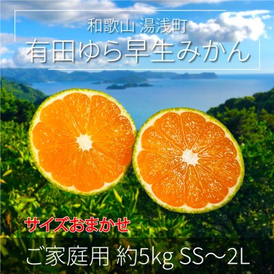 先行受付【ご家庭用 極早生】和歌山有田ゆら早生みかん約5kg(SS、S、M、L、2L)【湯浅町】