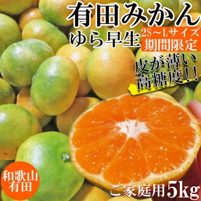 有田みかん 約5kg ご家庭用 和歌山 ゆら早生 極早生 (SS、S、M、Lサイズ)【湯浅町】
