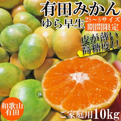 先行受付【ご家庭用 極早生】和歌山有田ゆら早生みかん約10kg(SS、Sサイズ)【湯浅町】