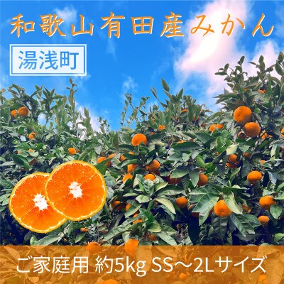 先行受付【ご家庭用】和歌山有田みかん約5kg(SS、S、M、L、2Lサイズ)【湯浅町】
