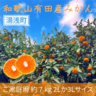 【ご家庭用】和歌山有田みかん約7kg(2L、3Lサイズ)【湯浅町】