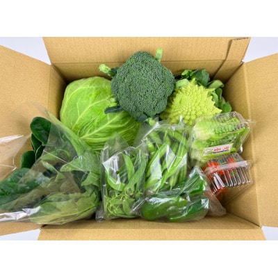 【和歌山 湯浅町】季節の野菜詰め合せ おまかせセット