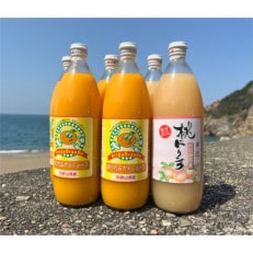 和歌山有田産100%みかんジュースと桃ドリンク970ml×12本セット