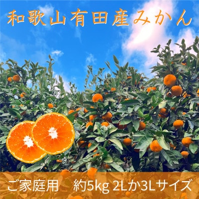 先行受付【ご家庭用】和歌山有田みかん約5kg(2L、3Lサイズいずれか)【湯浅町】