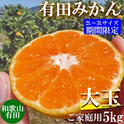 先行受付【ご家庭用】和歌山有田みかん約5kg(2L～3Lサイズ)【湯浅町】