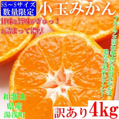 有田みかん 小玉 4kg S/SSサイズ 訳あり 和歌山県【2024年10月下旬から順次発送】