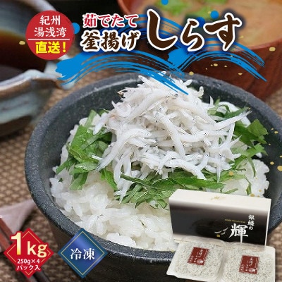 紀州湯浅湾直送!茹でたて 釜揚げしらす　1kg (250g×4パック入) 小分け【冷凍】