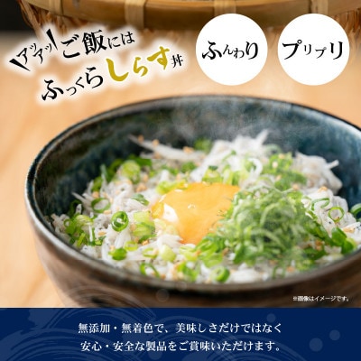 紀州湯浅湾直送!茹でたて 釜揚げしらす　1kg (250g×4パック入) 小分け【冷凍】