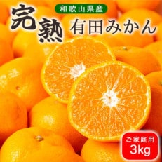"先行受付"【濃厚完熟】有田みかん 3kg ご家庭用　サイズ混合 | ふるさと納税のお礼品