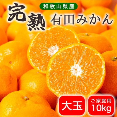 【先行受付】有田みかん 10kg  大玉 ご家庭用【2025年10月下旬より順次発送】