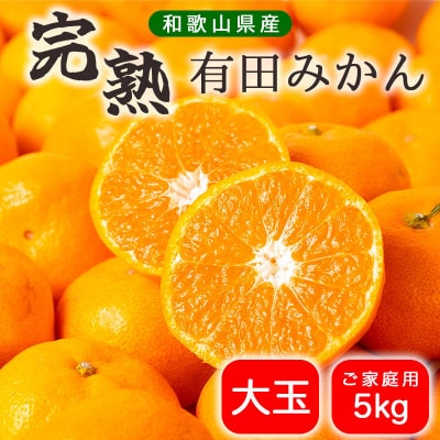 【濃厚完熟】有田みかん 5kg 大玉 訳あり ご家庭用【10月下旬より順次発送】