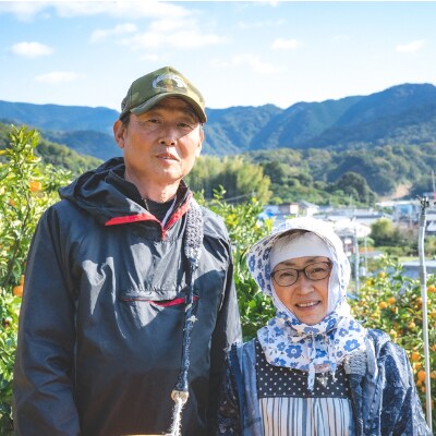 【熟成の味】有田の完熟不知火 5kg ご家庭用