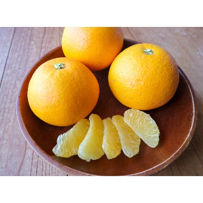 【甘～い八朔!】さつきはっさく 大玉5kg ご家庭用