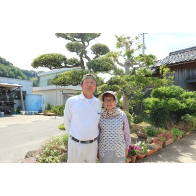【甘～い八朔!】木成りさつきはっさく 大玉10kg ご家庭用