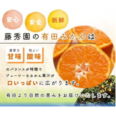 こだわりの有田みかん赤秀5kg