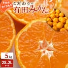 ＜先行受付＞こだわりの有田みかん　ご家庭用5kg(サイズおまかせ)